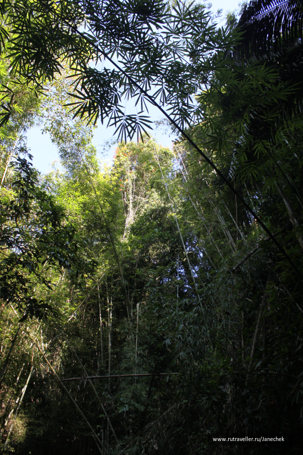 photo 1628410