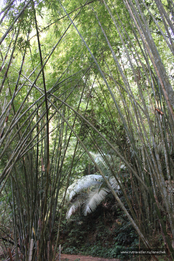 photo 1628414