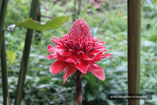 photo 1628416