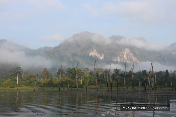 photo 1648969