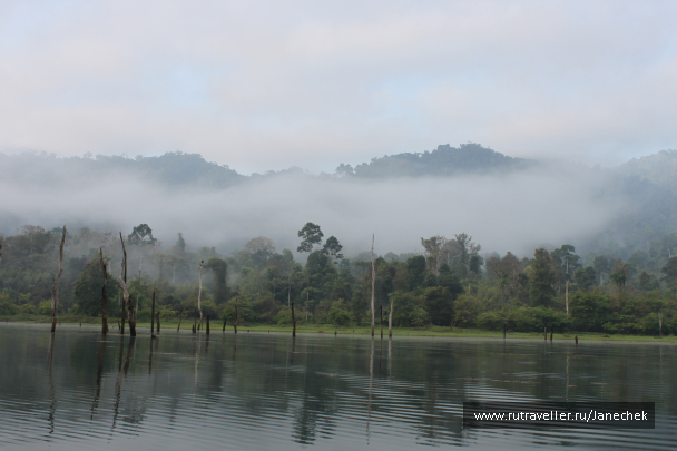 photo 1648971