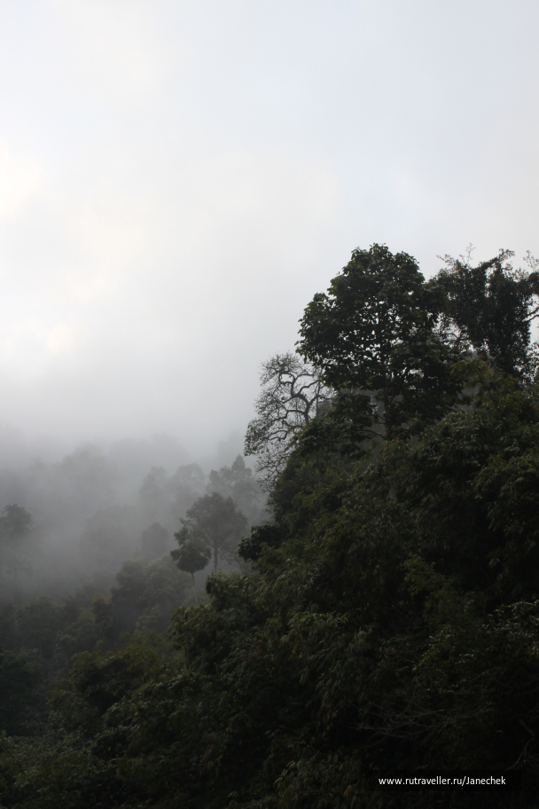 photo 1648972