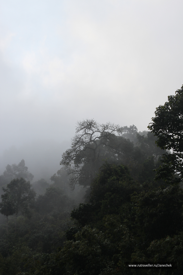 photo 1648973
