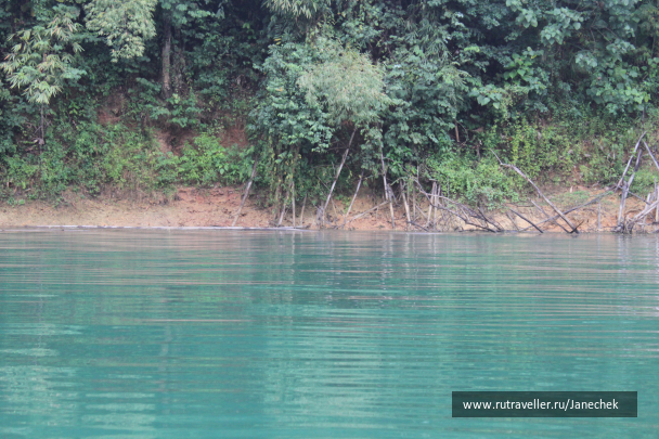 photo 1648974