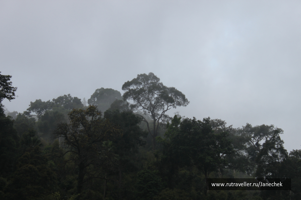 photo 1648975