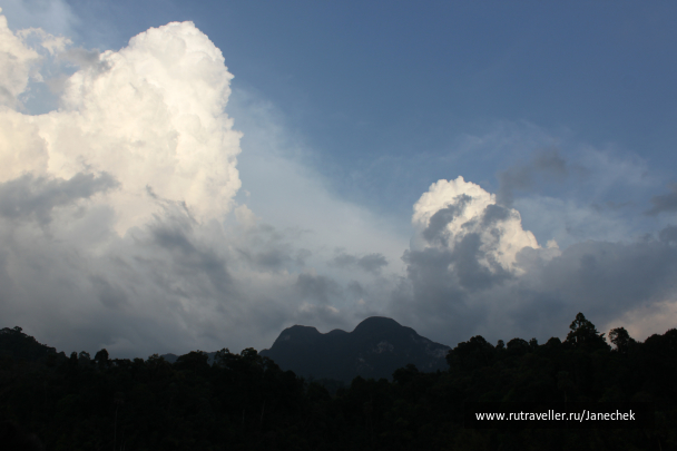 photo 1648979
