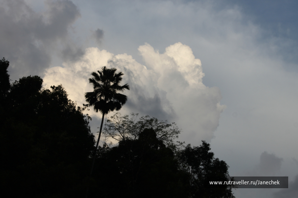 photo 1648980