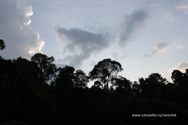 photo 1648981