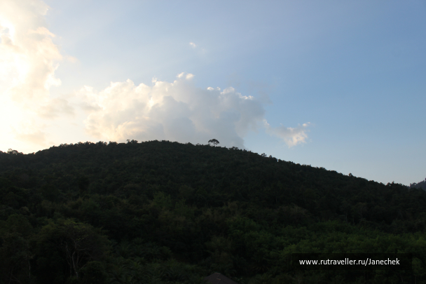 photo 1648989
