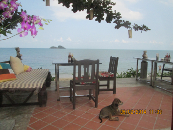 photo 1148574