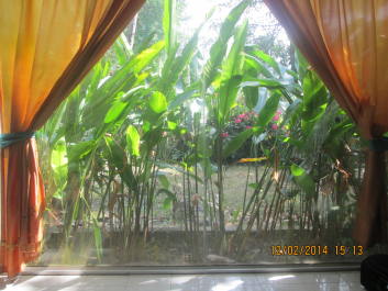 photo 1148576
