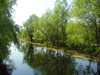 photo 796282