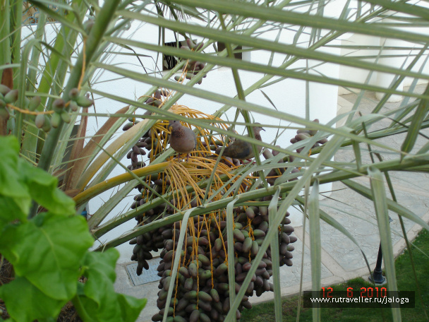 photo 61201
