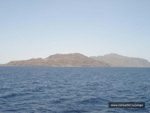 photo 61239