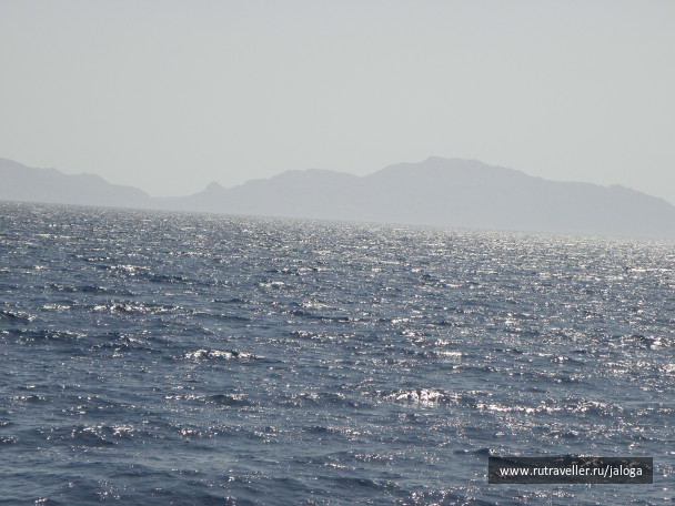 photo 61241