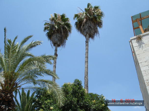 photo 61465