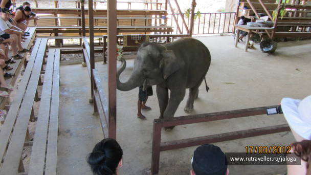 photo 86438
