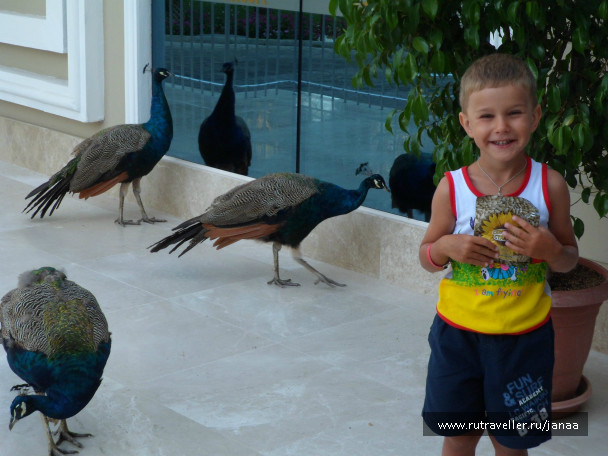 photo 644693