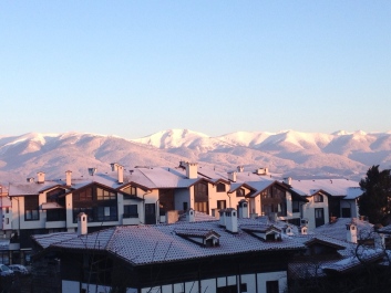 photo 235775