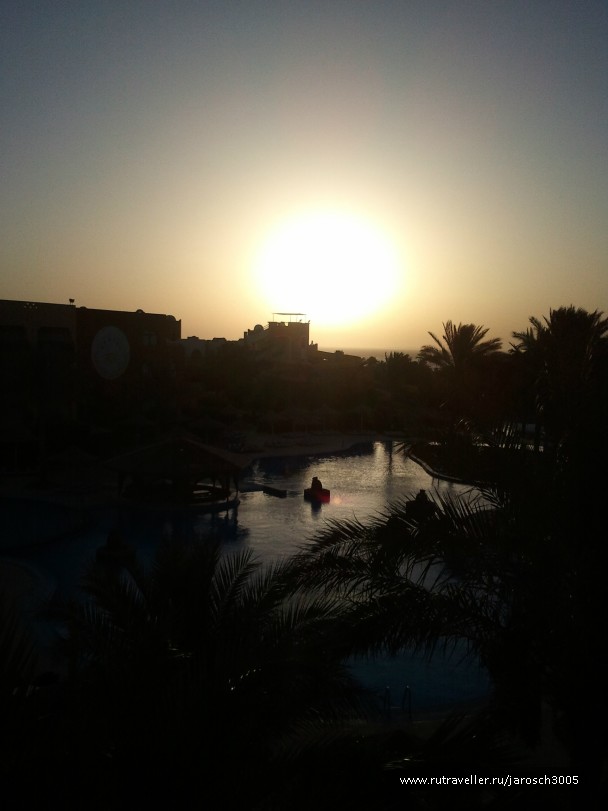 photo 100560