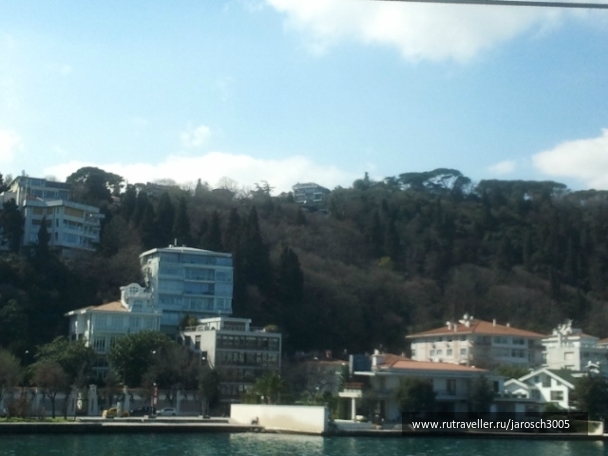 photo 870928