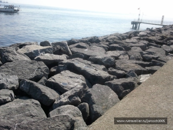 photo 870938