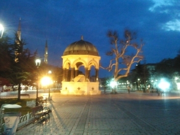 photo 870943