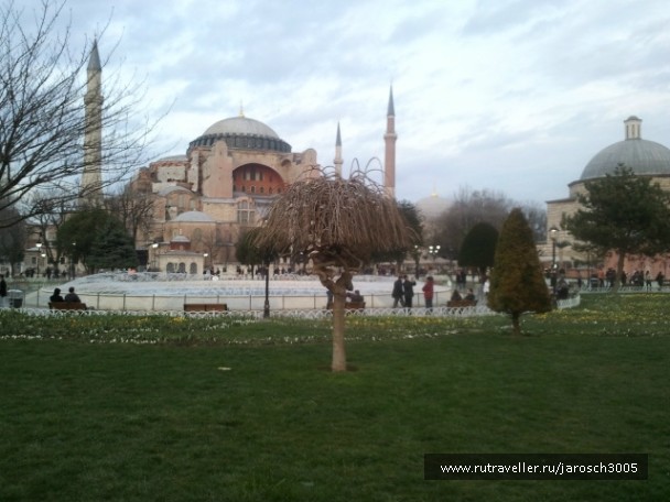photo 870959