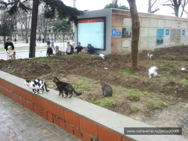 photo 870965