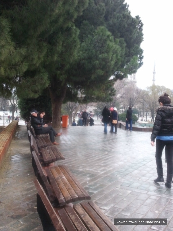 photo 870966