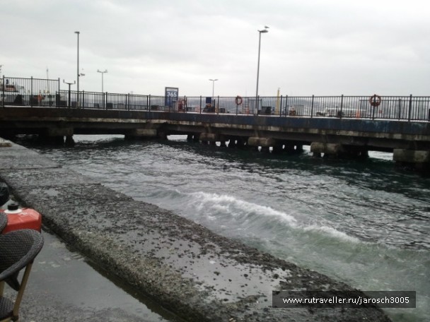 photo 870977