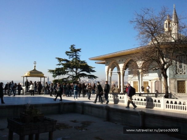 photo 870982