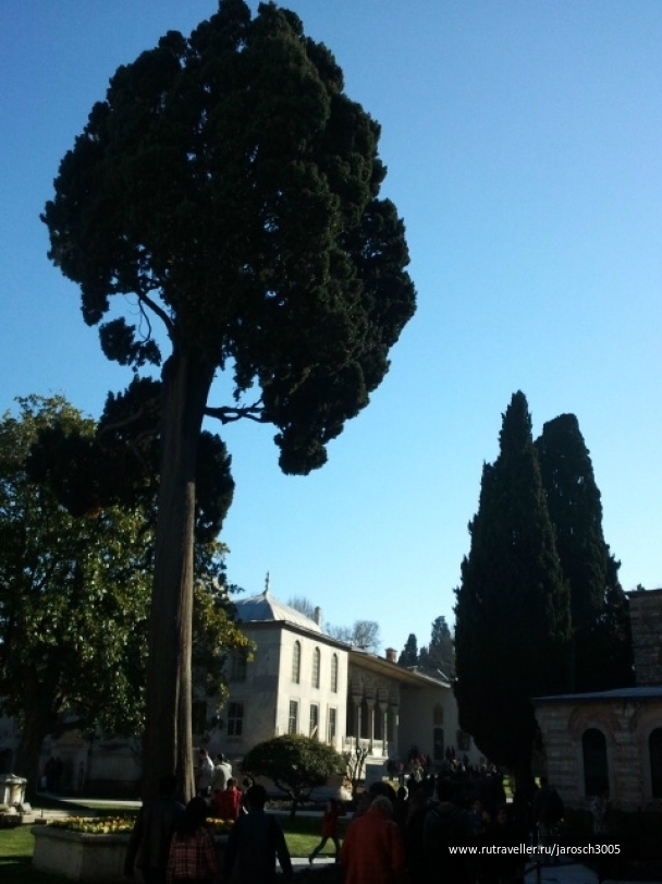 photo 870983