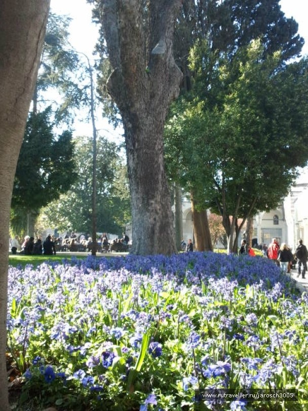 photo 870985