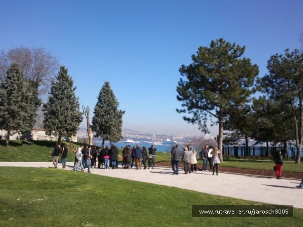 photo 870993