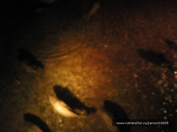 photo 870997