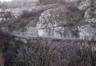 photo 133825