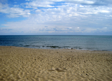 photo 166453