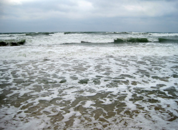 photo 166455