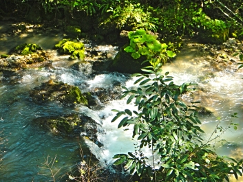 photo 866375