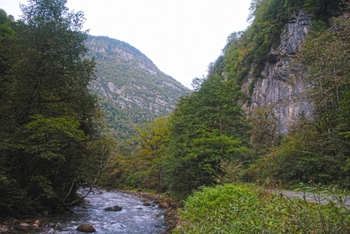 photo 873282