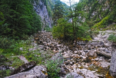photo 873283