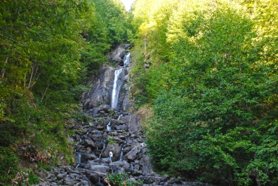 photo 873288