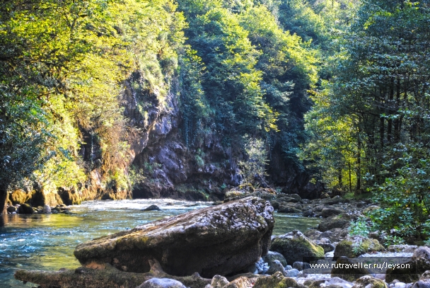 photo 874913