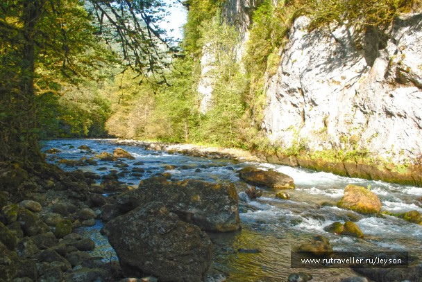 photo 874915