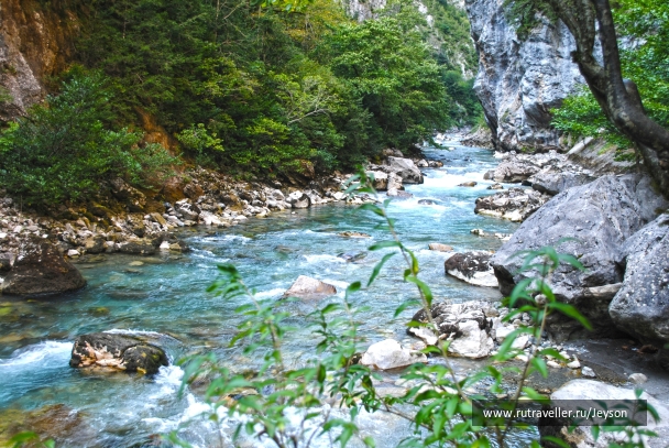 photo 874917