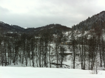 photo 311001