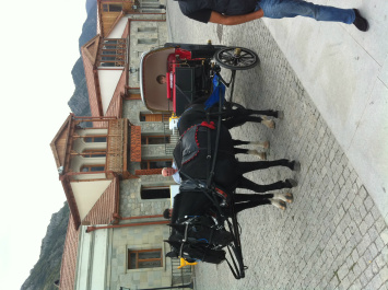 photo 311009