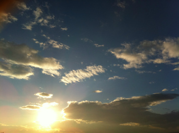 photo 311012