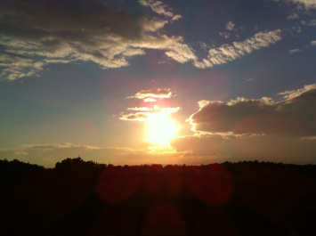photo 311014